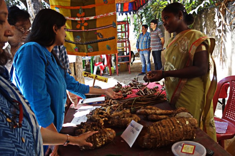 The root booth at the January 2016 Malnad Mela. Photo: Vanastree