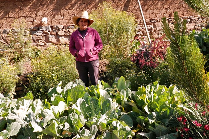 Magaly Garayar works on her farm in Laramate, Peru. The indigenous women of Laramate use ancestral farming techniques intended to yield more nutritious and weather-resistant crops than modern methods. Photo courtesy of CHIRAPAQ