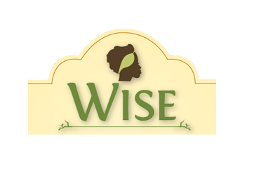 wise_logo
