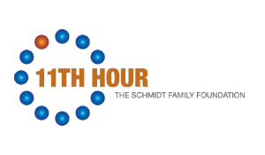 11th Hour logo 11th Hour logo