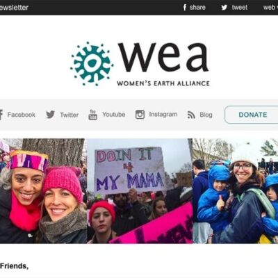 WEA winter newsletter 2017 new