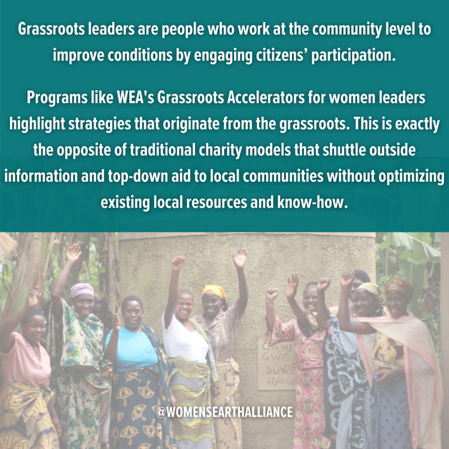 what-does-grassroots-mean-womens-earth-alliance