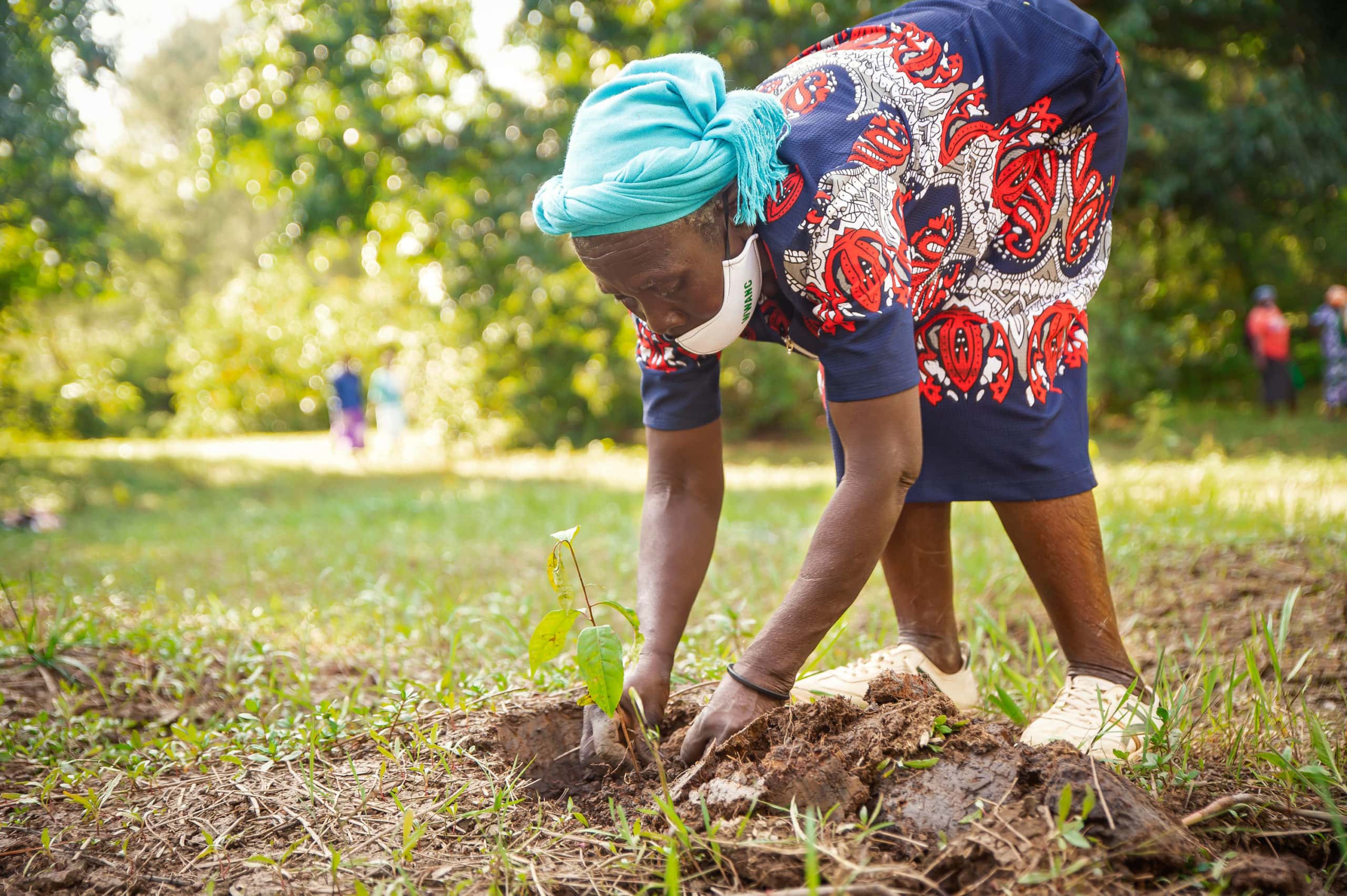 elder-woman-planting