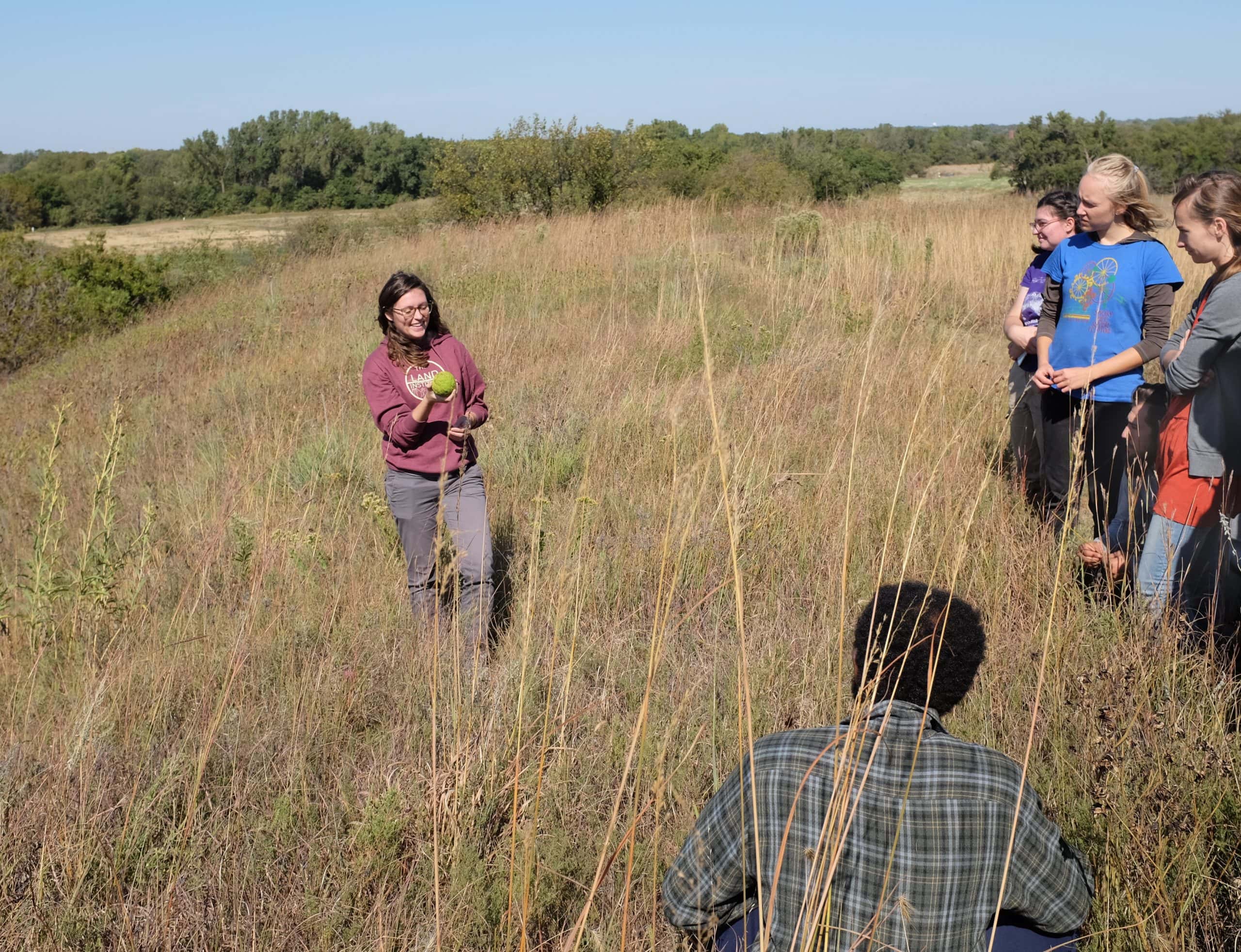 Aubrey Streit Krug, director of ecosphere studies at The Land Institute, leads co-workers at a lunchtime plant identification walk on our native Wauhob Prairie.