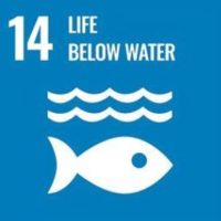 14 life below water