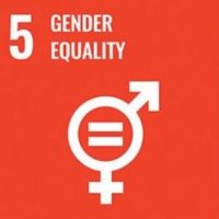 5 gender equity