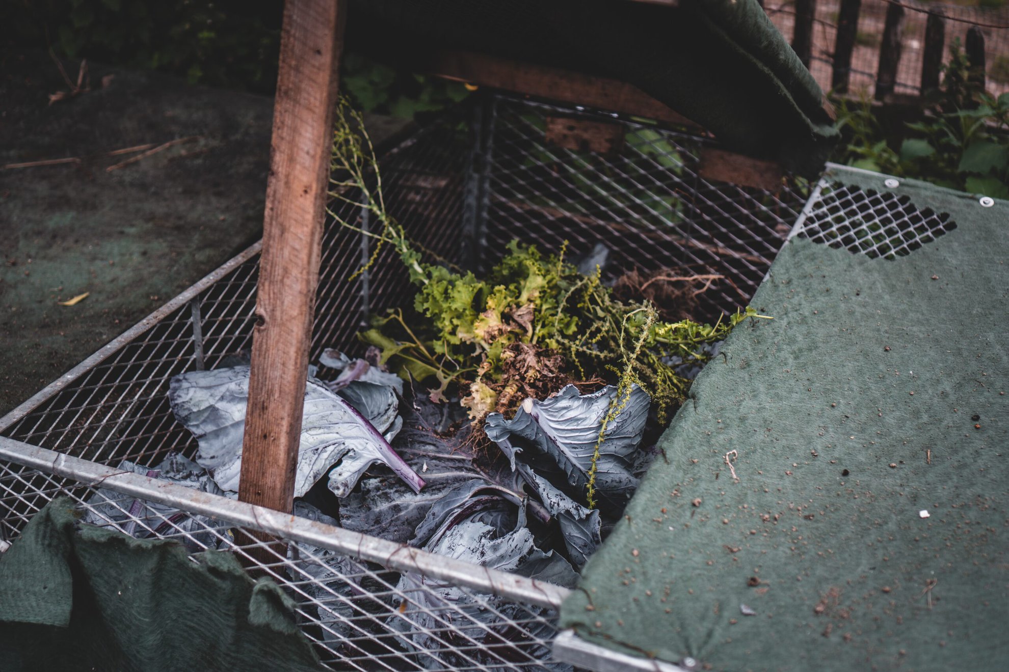 Diverting food waste from landfills can greatly contribute to reducing green house gases. (Credit: Jonathan Kemper via Unsplash)