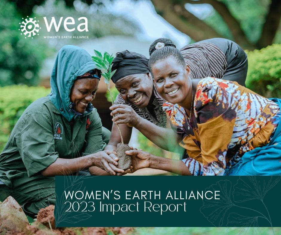 WEA 2023 Impact Report Graphic - Horizontal