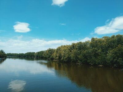 a body of water surrounded by trees and clouds