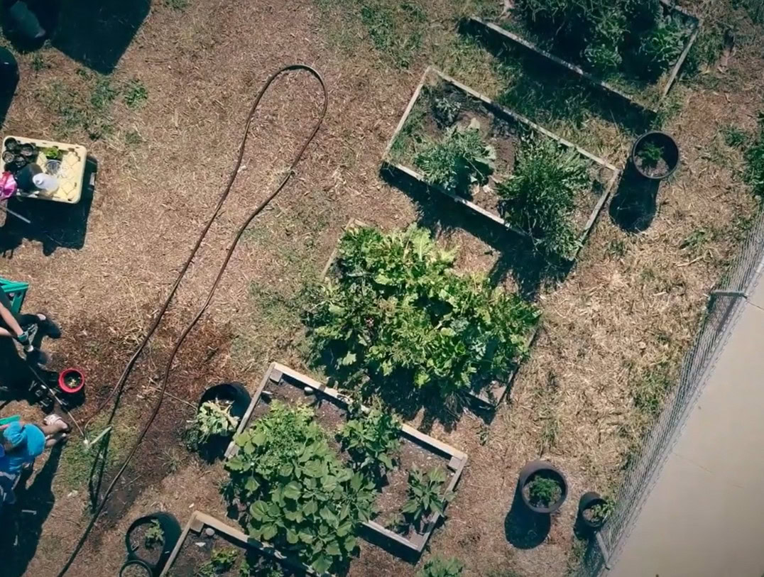 Aerial view of the Seeds of Carver garden in Los Angeles Credit: Seeds of Carver / Women's Earth Alliance