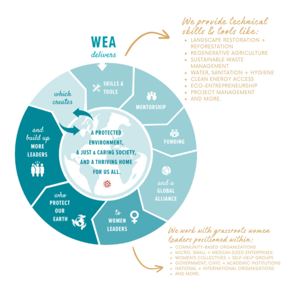 WEA Model for website