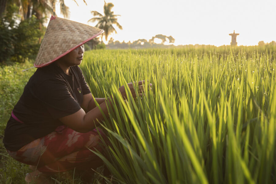 Indonesia Kelecung Eco Village Aniek Putu Ayu Puspawardani