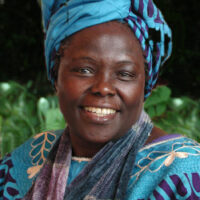 wangari wangari