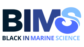 BIMS logo