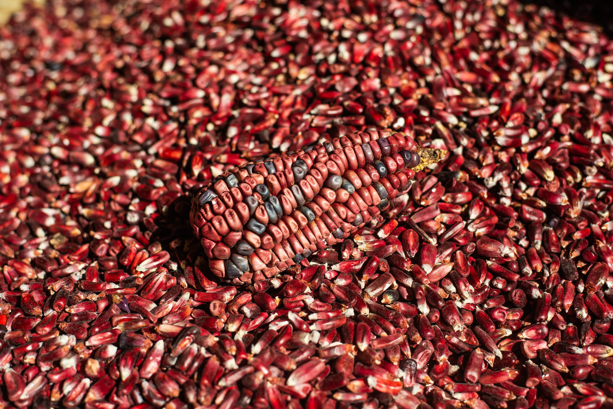 Las Cañadas corn husk