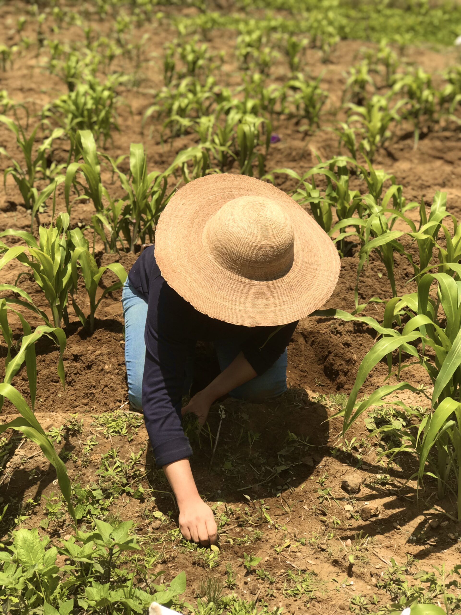 Las Cañadas hat