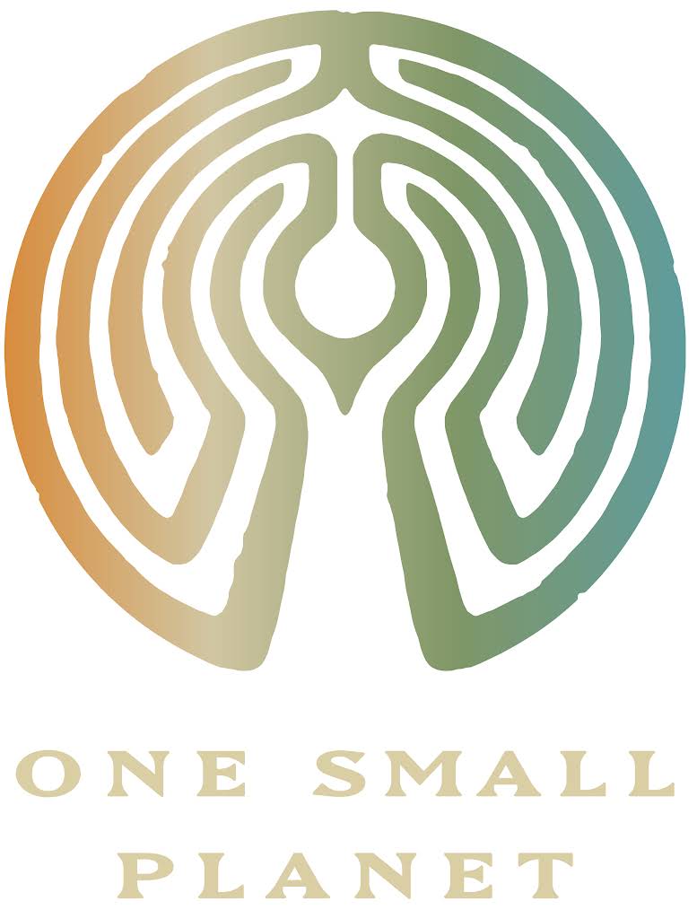 One small planet