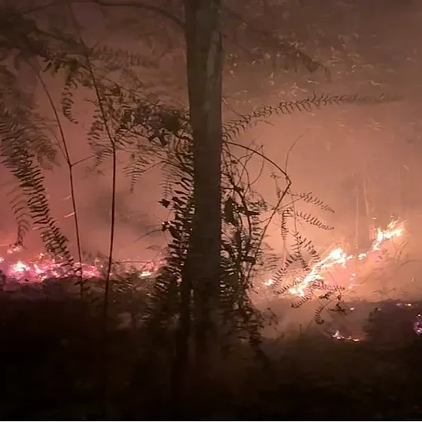 Forest and peatland fires near Palangkaraya, Central Kalimantan