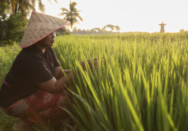 Indonesia Kelecung Eco Village Aniek Putu Ayu Puspawardani