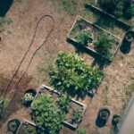 Aerial view of the Seeds of Carver garden in Los Angeles Credit: Seeds of Carver / Women's Earth Alliance