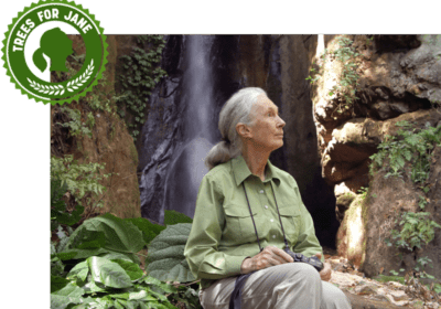 Jane Goodall logo 1