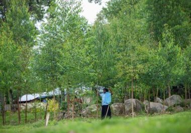 WEA Leader Fatuma Erima stands amongst trees she planted on her land in Kenya. // Image: Anthony Wanjiku.