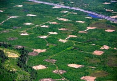 Aerial view of the Lubicon Cree land
Source: Jiri Rezac/Greenpeace