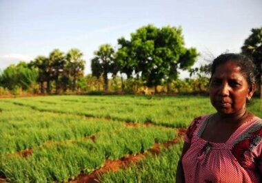 A farmer stands in her onion farm in Oddussudan, Sri Lanka.
Source: THOMSON REUTERS FOUNDATION/Amantha Perera