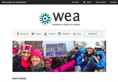 WEA winter newsletter 2017 new