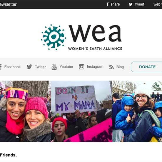 WEA winter newsletter 2017 new
