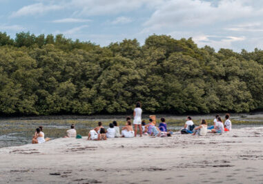 WEA and Filha do Sol gather with women in Barra Grande to honor Nana, the spirit of the mangroves. Photo by: Gelson Catatau.