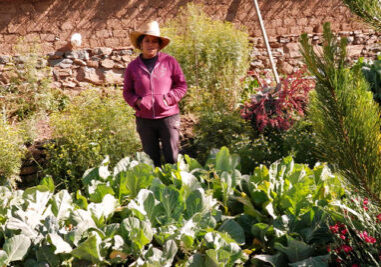 Magaly Garayar works on her farm in Laramate, Peru. The indigenous women of Laramate use ancestral farming techniques intended to yield more nutritious and weather-resistant crops than modern methods. Photo courtesy of CHIRAPAQ