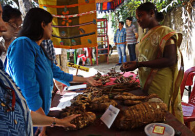 The root booth at the January 2016 Malnad Mela. Photo: Vanastree